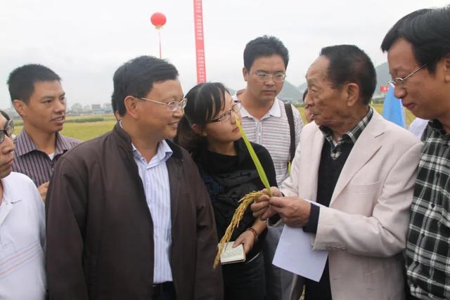 贵州都市报 侮辱攻击袁隆平院士，多人被处罚
