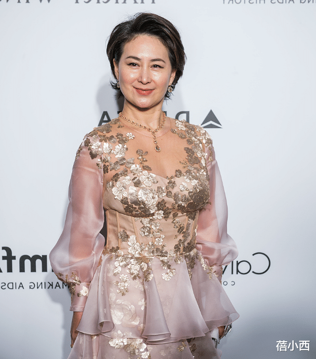 蛋糕裙|何超琼穿出了60后女性羡慕的贵妇感，薄纱蛋糕裙配短发，高贵优雅