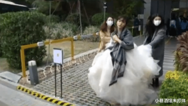 宁静|金鸡红毯太卷？宁静着装最清凉，金晨排骨胸抢镜，徐娇拍照不离场