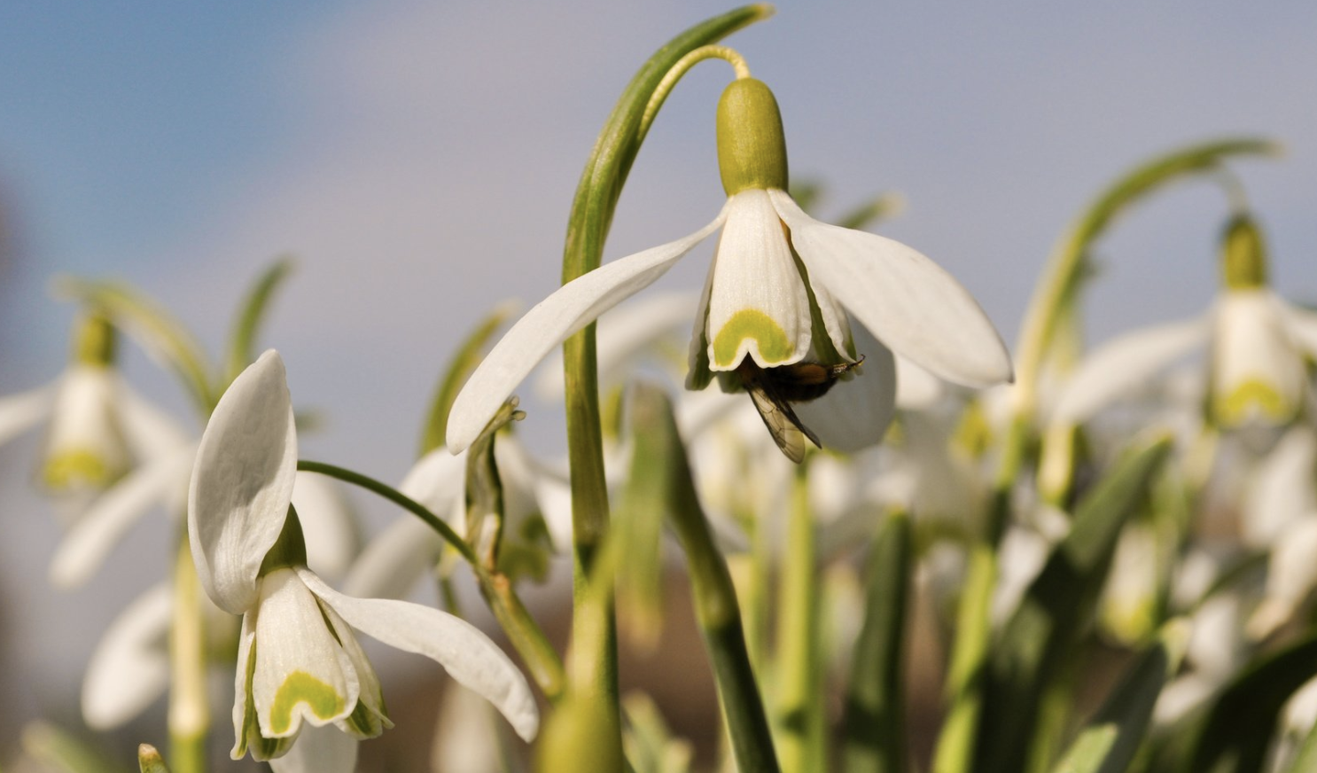 职场|12月,拨云见日,喜上眉梢,3生肖职场顺遂,钱包鼓鼓,贵人多多