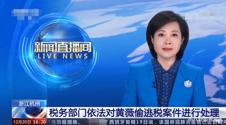 黄磊|形象颠覆！扶贫大使、三八红旗手却逃税被罚13亿，薇娅恐难翻身