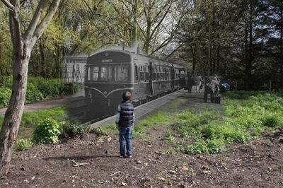 菜菜叶|幽灵列车:铁道部一直不愿解释这种解释