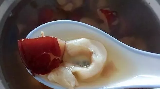 燕若初见|滋补要吃鱼胶！不会做，看这里，教你10款鱼胶做法！