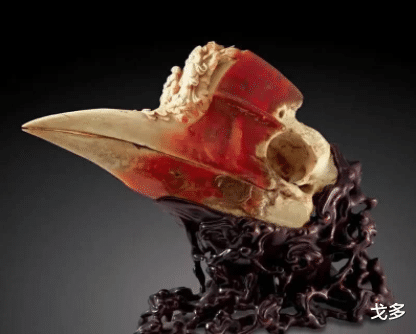 文玩|没有买卖就没有伤害，血腥的文玩，盔犀鸟