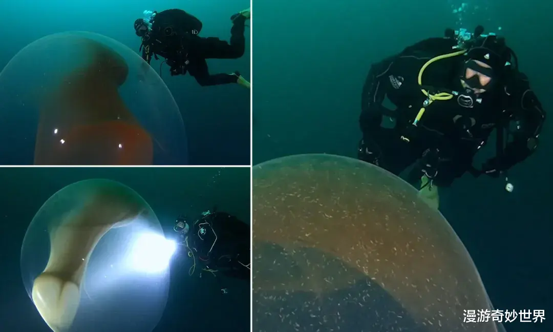  眼界大开！见所未见的30张照片，令你姿势大涨