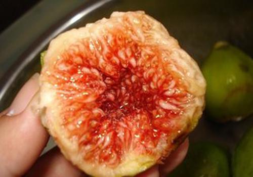 老姚说健康|40后的女人不要舍不吃,5种食物当“零食”吃,补充雌激素抗衰老