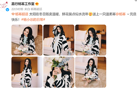 袁冰妍|明星2022新年营业图：花丛中的杨幂刘亦菲赵丽颖，红衣肖战任嘉伦
