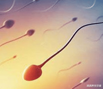 滴滴养生饮食|男科医生给高龄备孕男性的忠告：这4个误区，避开吧！