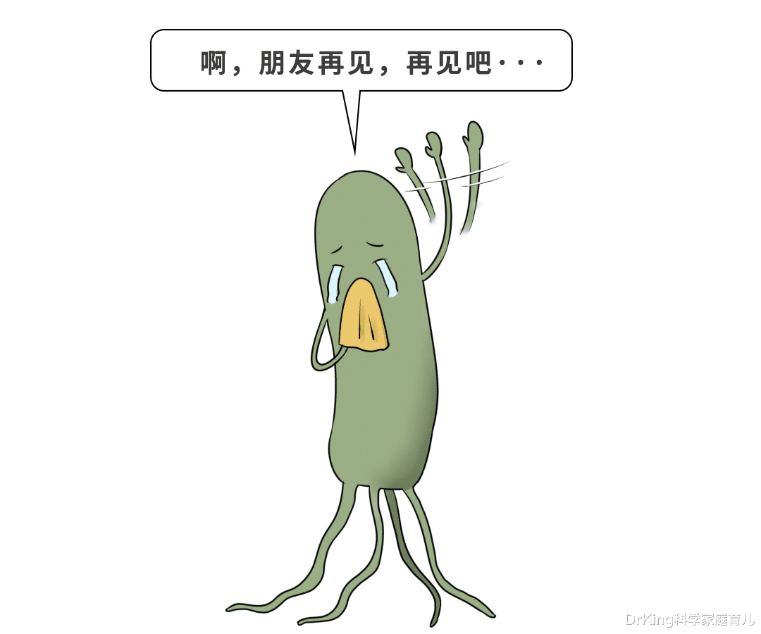 幽门螺杆菌|一人中招全家感染!传播幽门螺杆菌,全在这4个动作里!