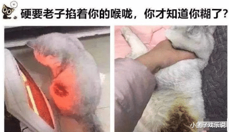 女孩|“去未婚妻家吃饭,结果和丈母娘穿成情侣装!”哈哈哈哈老丈人的脸都气绿了!