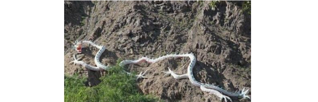 恐龙 三次坠龙事件，被传得神乎其神，到底是事实还是虚构？