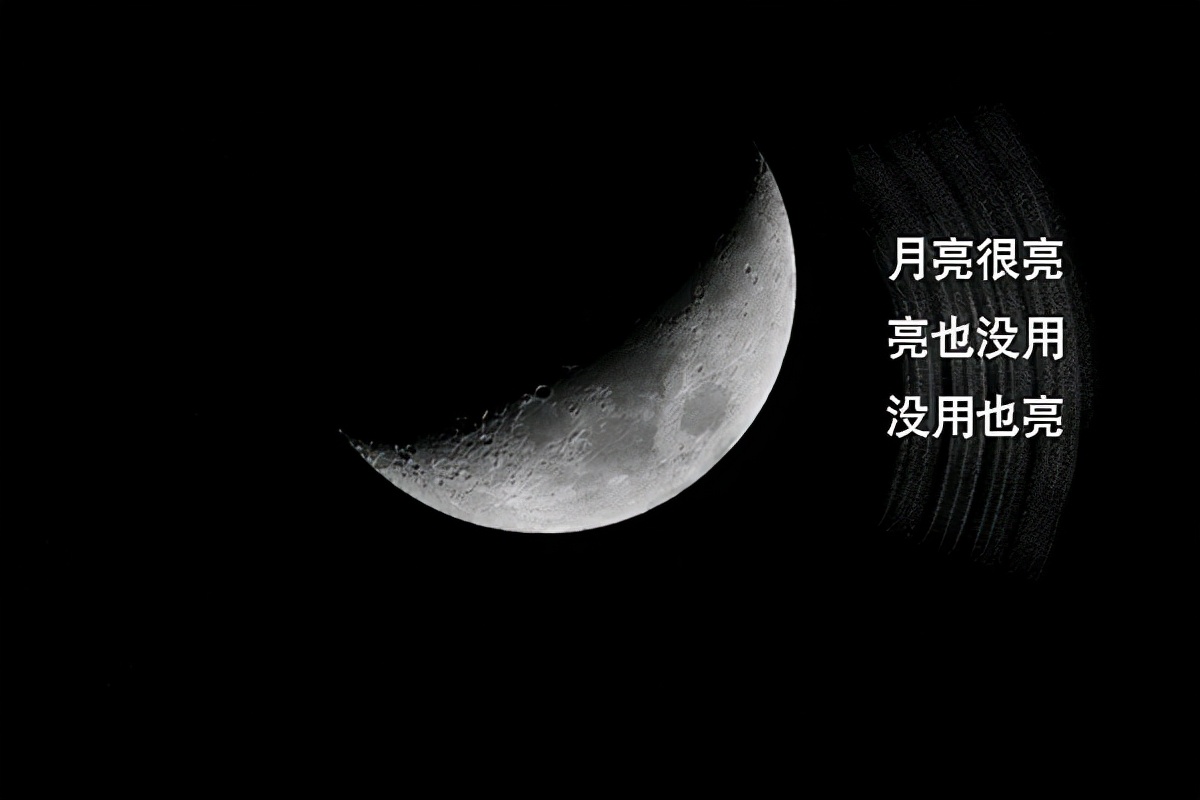 |“一薇”是什么意思？这些梗新鲜出炉，一起来了解下