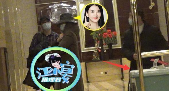 杨幂|李湘恋情再添实锤？与年轻男子现身酒店，搬行李与对方同居