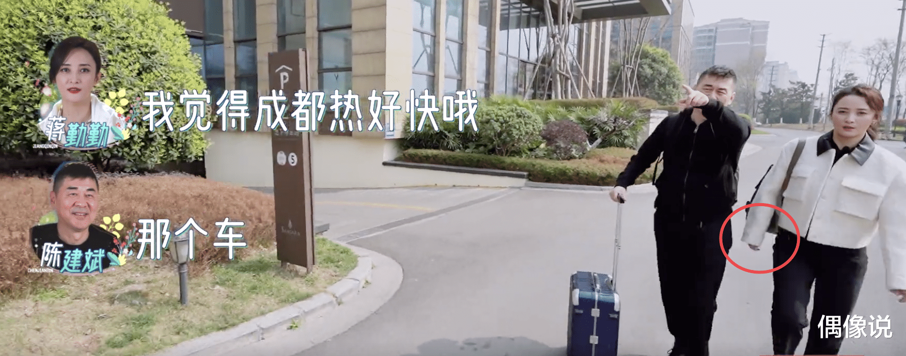 秦海璐|秦海璐和王新军手拉手爬山，老公全程提鞋，蒋勤勤牵手被甩差距大