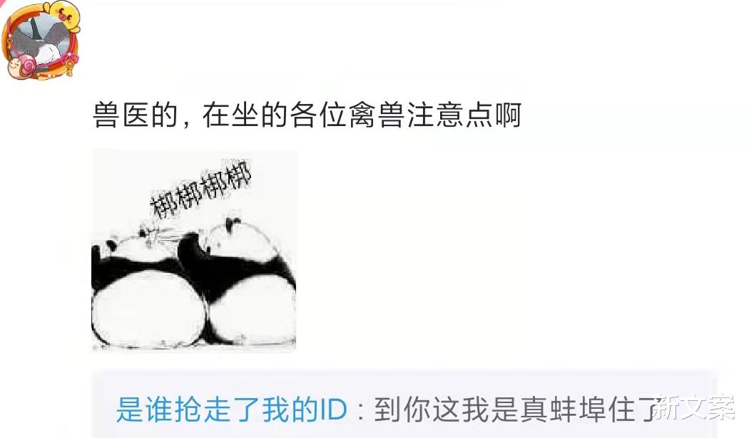 |各个专业的大学生以后适合啥工作？哈哈，网友评论孝死我了