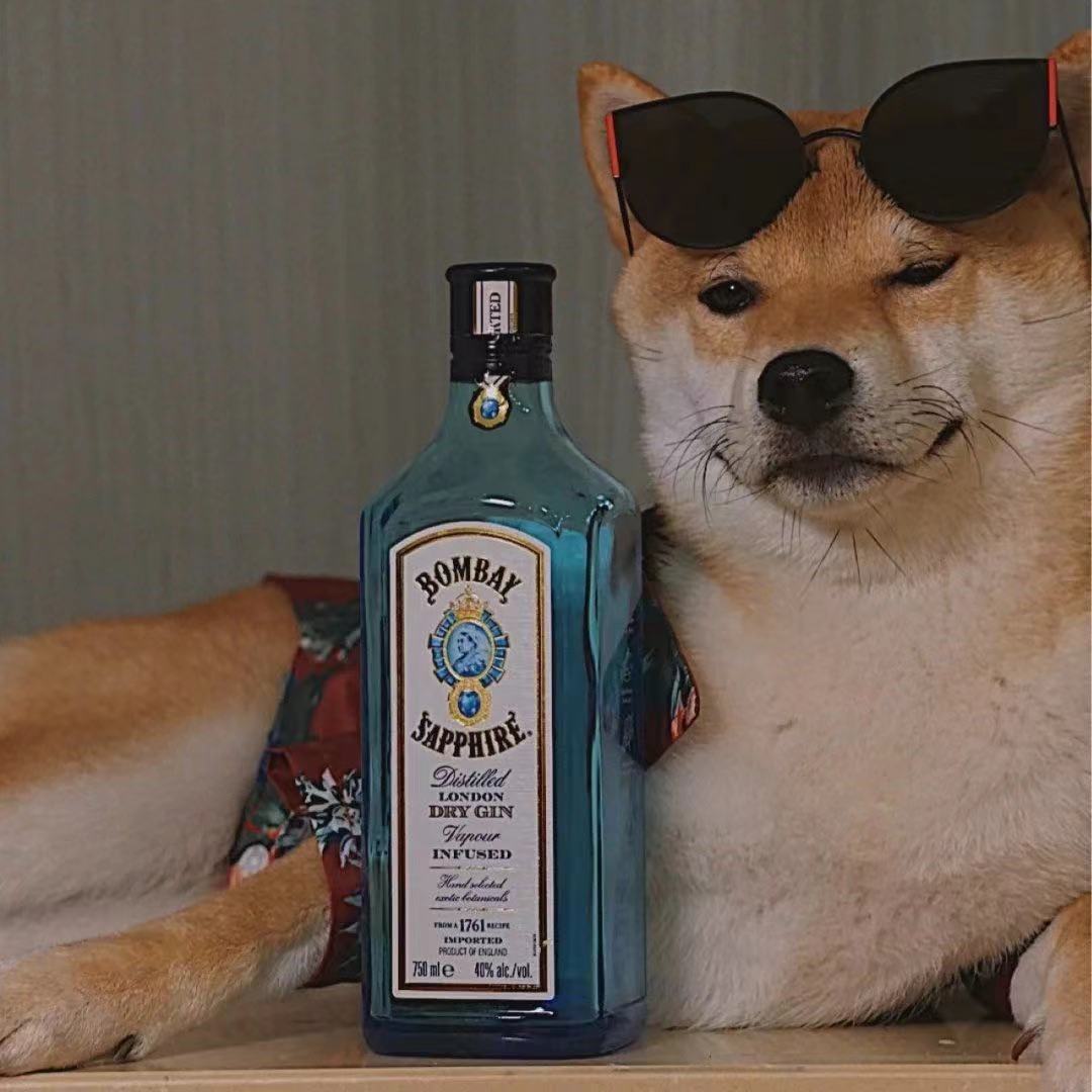 三句情话文案|有些意外是意料之中,而你就是我的意料之外