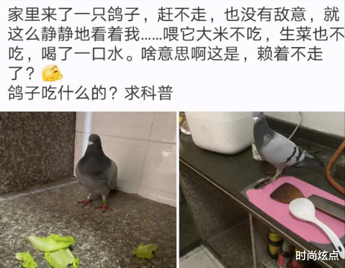 秘书|去老板办公室发现女秘书躺在椅子上睡着了，这是发生什么了