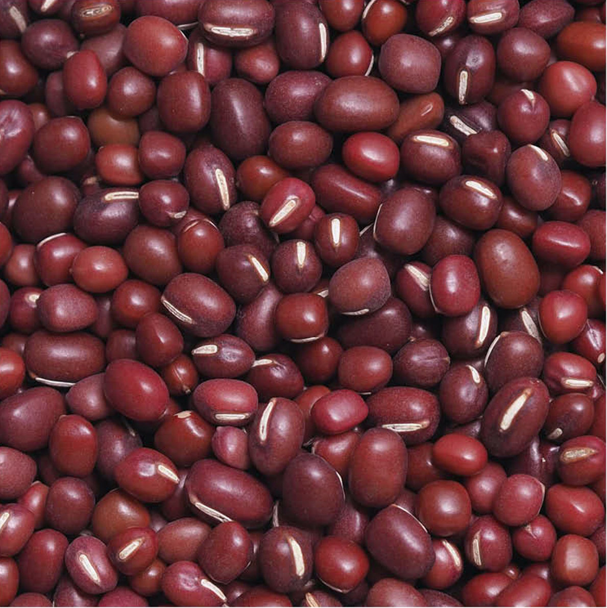 朴信惠|有种“瘦身”叫31岁朴信惠，减肥成功后，甩掉麒麟臂大象腿，真美