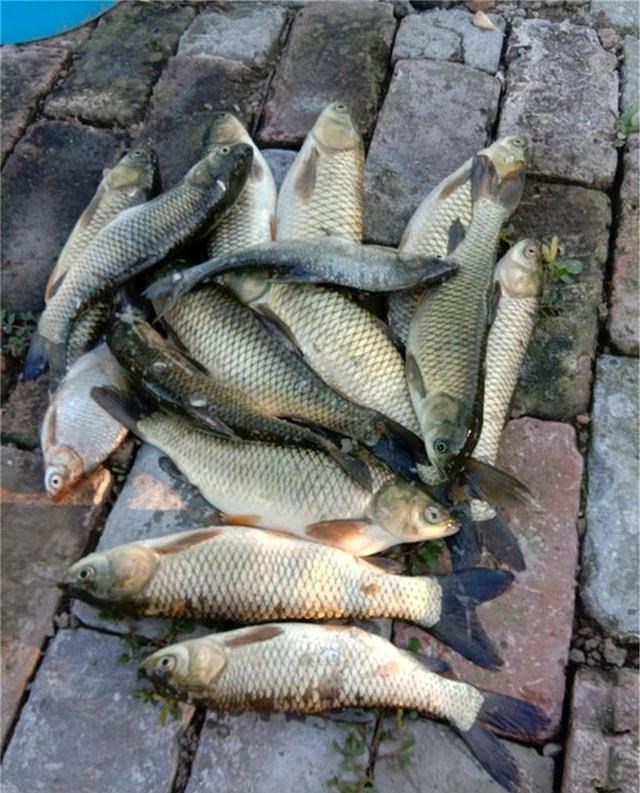 育儿心课堂|夏末秋初气不好钓不到鱼？事实上这几个钓点很难走空