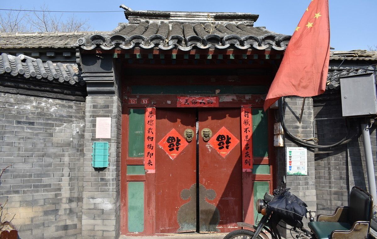 12个你不知道的冷知识,世界上最小的企鹅是什么?