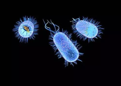 冠状病毒 深度！病毒演化史：把人类搞死，自己也死了，病毒的目的是啥？