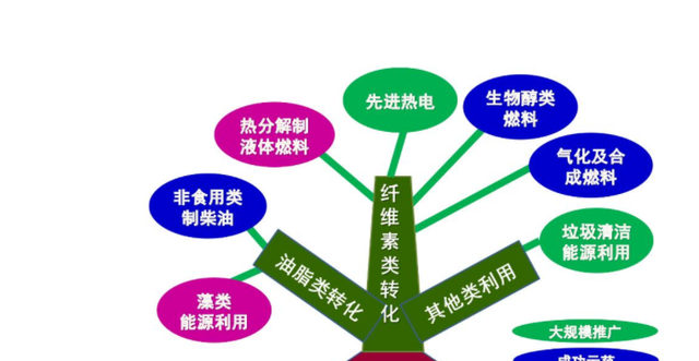 |为何说“生物质能”，是人类未来发展的重要能源？3个影响很关键