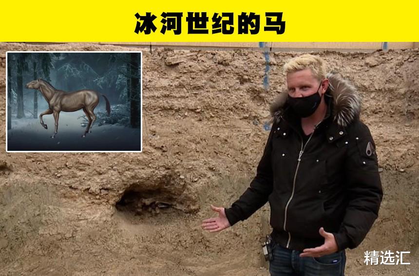 哺乳动物|带有青蛙脸的龟?近些年来,人类找到的6种新的史前生物