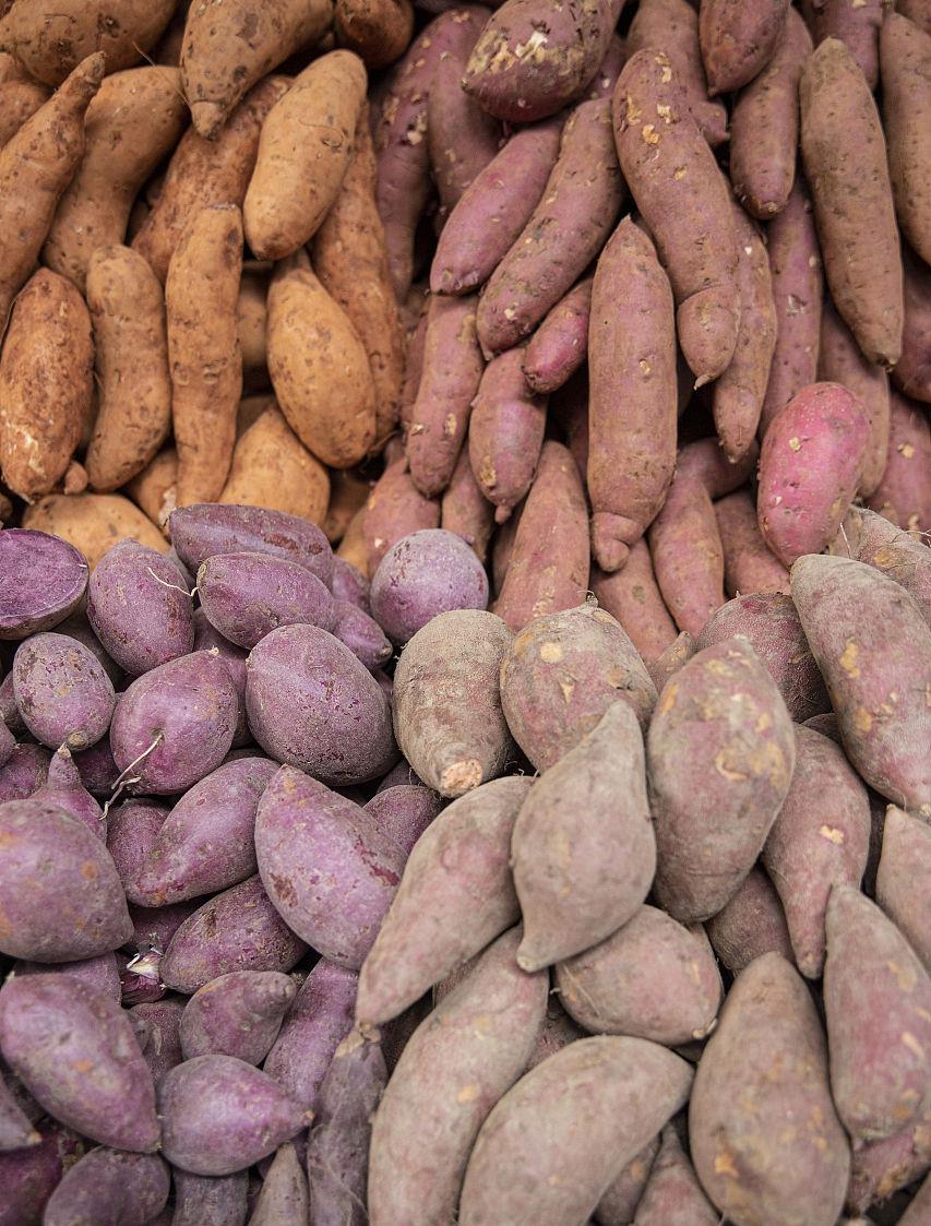 紫薯、红薯、白薯三种甘薯，哪种营养比较丰富？看完短文就知道了