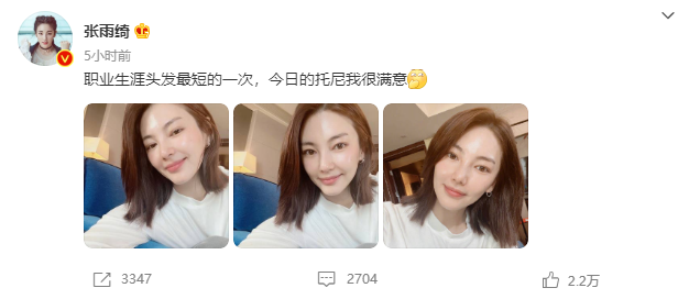 张雨绮|张雨绮红毯状态引热议，面部僵硬医美痕迹明显，网友直呼没认出来