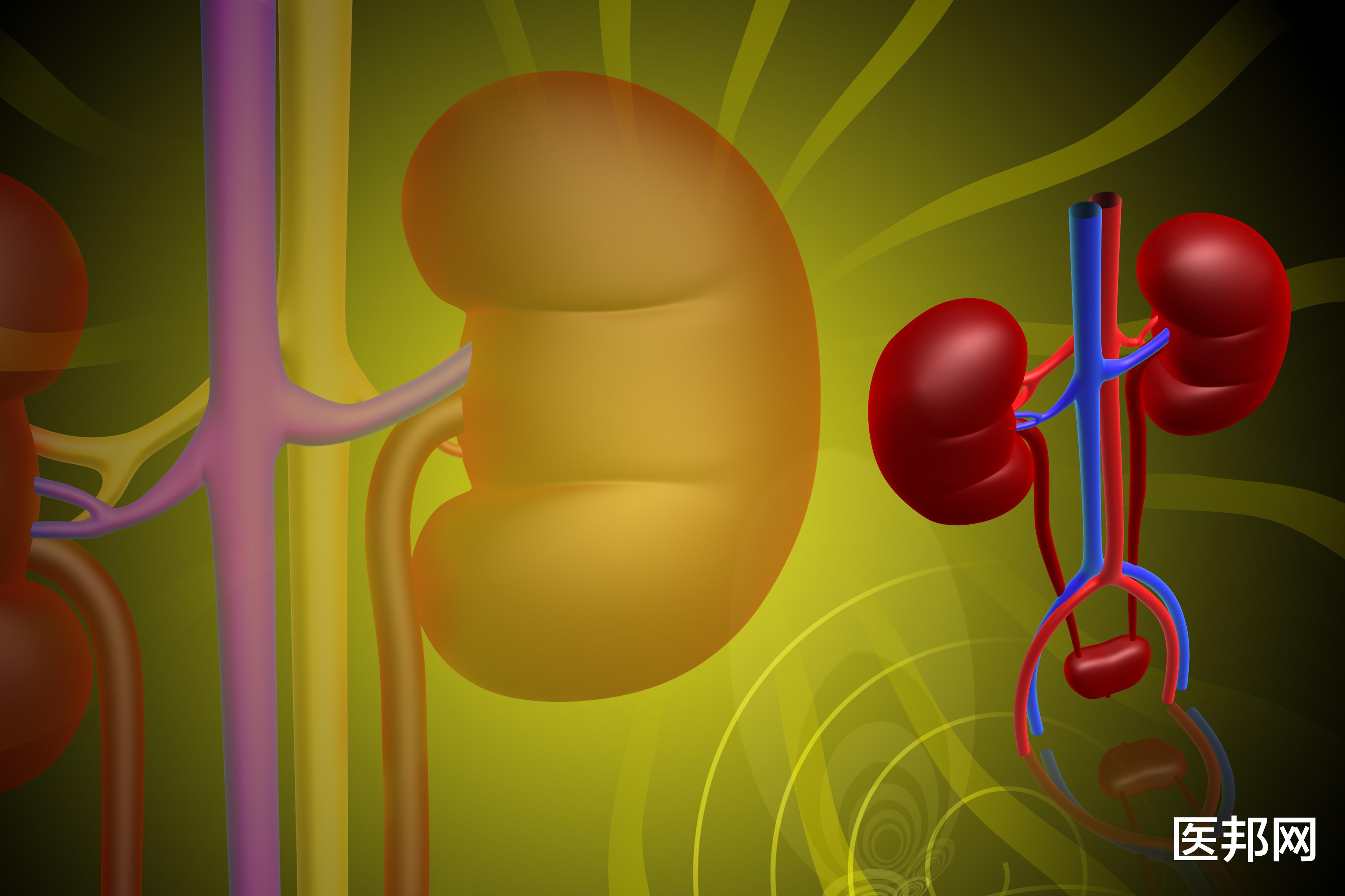 降压药|长期口服降压药,如何降低肝肾毒害?药物选择是关键