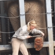 护士|两个男同学非要表演走秀,还坚持要穿女装!班主任都被吓跑了~哈哈哈哈