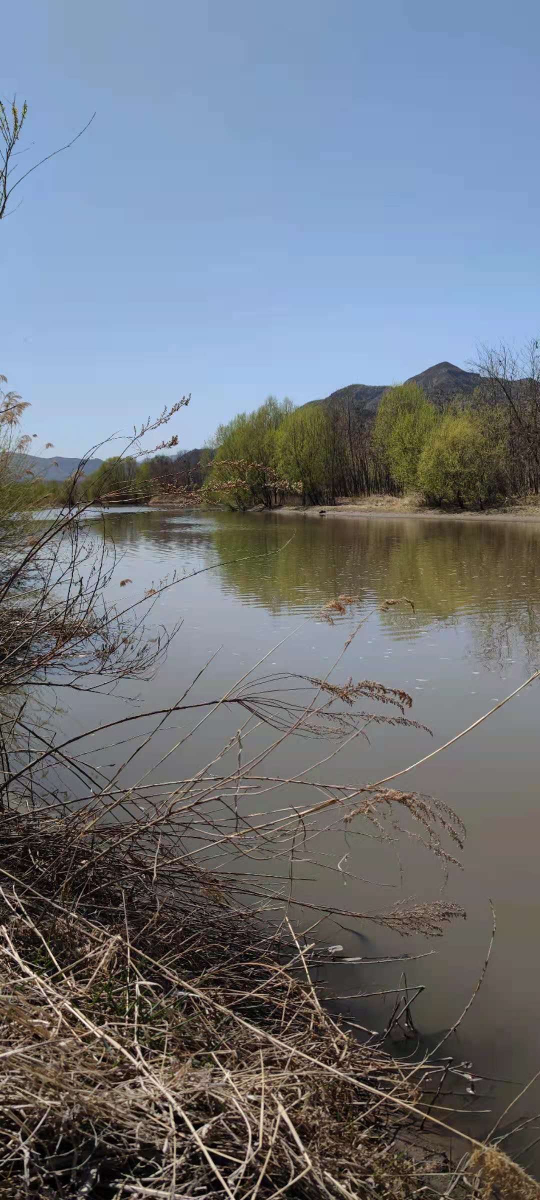 盲盒|四人相约野钓,顶着28度的太阳,暴晒大半天最终渔获却!