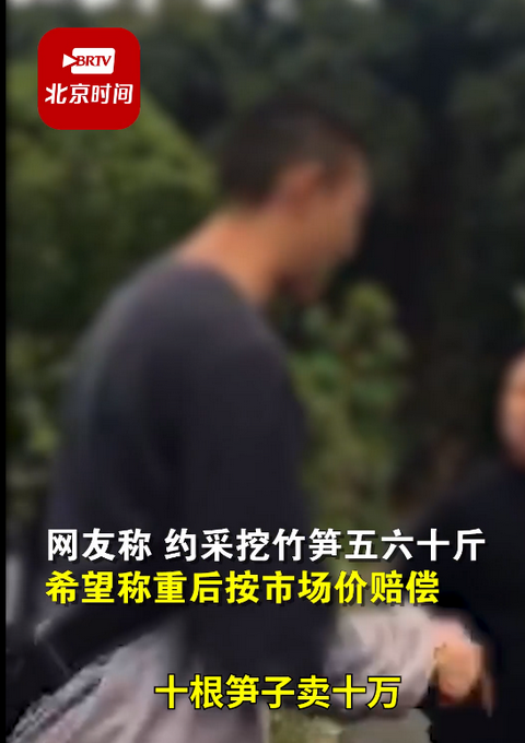 舜网 挖了五六十斤,游客私挖笋遭村民索赔一根1万?当地:赔了1500