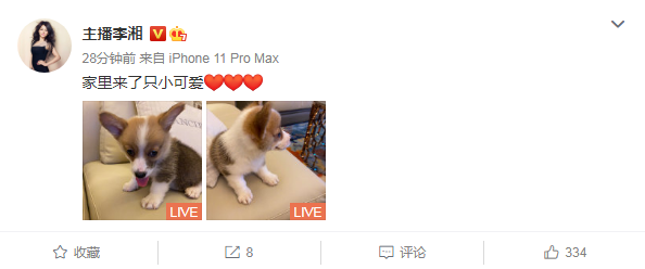 王岳伦|摊牌不装了，我们早就离婚了！还点明前妻也早就有其他的对象了！