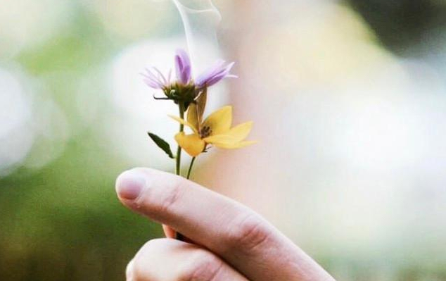 梦缘易八字命理|月柱桃花星且合动婚宫,对感情不专一,易有婚外情的男命