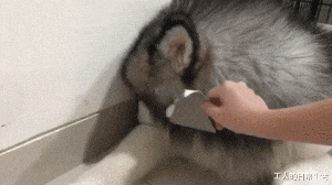 “前租客留下的,在床底下发现的,这是啥啊?”