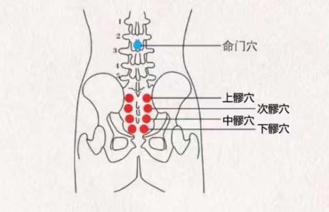 峰哥说表|经常腰痛怎么办？可适量按按这两个穴位以缓解疼痛