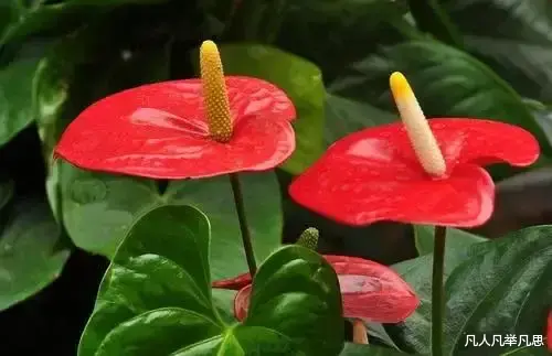 凡人凡举凡思 家庭幸福，是人生最温暖的成功