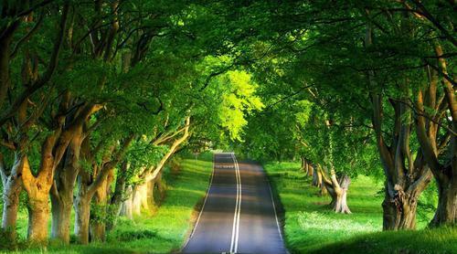 教闲 表面文艺的星座,却点到为止,比别人复杂,五彩斑斓,只是泡沫