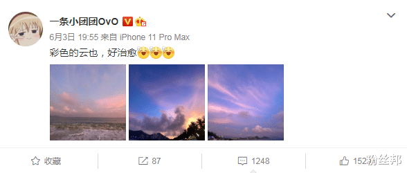 一条小团团|一条小团团在三亚游玩，被粉丝“抓拍”背影照，将其制作成屏保