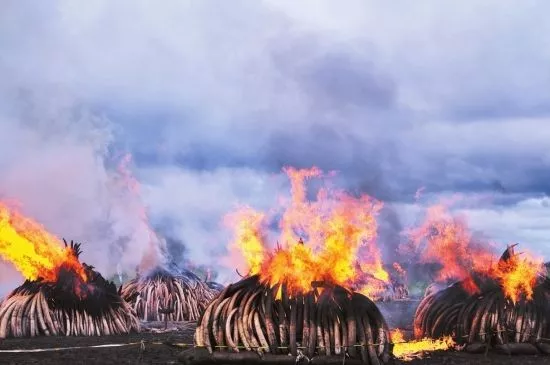 文玩|“一红二黑三白”，文玩人千万不要碰！