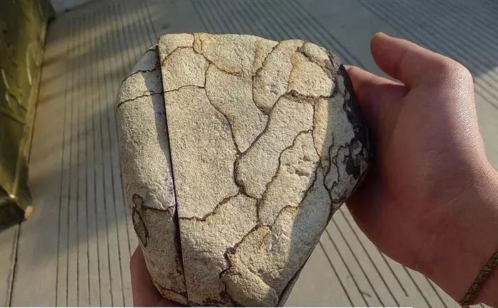 翡翠|价值80万的翡翠原石，“丑陋”的皮壳，切出了意想不到的惊喜！