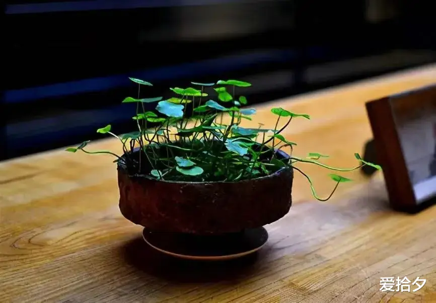 爱拾夕 过了四十岁,我劝你做一个自私的女人