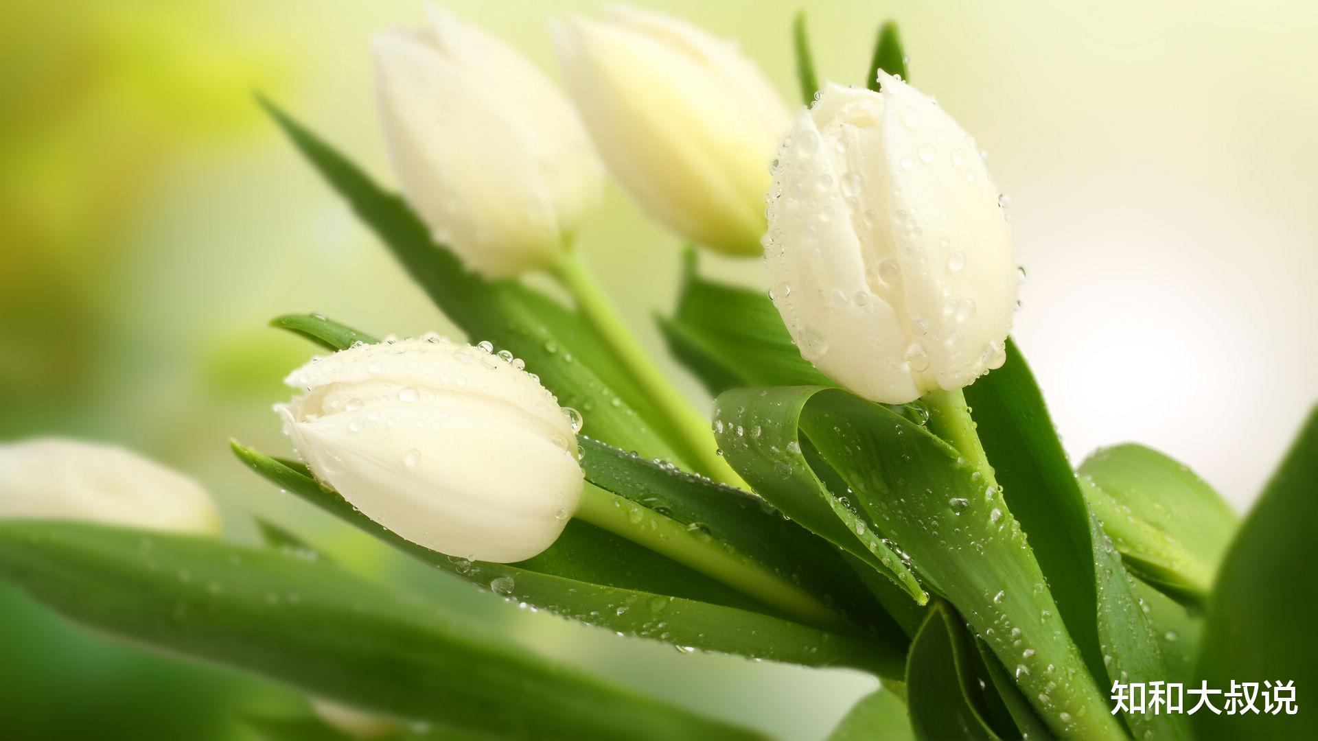 知和大叔说|女人离不开你的信号：开始变得“婆婆妈妈”