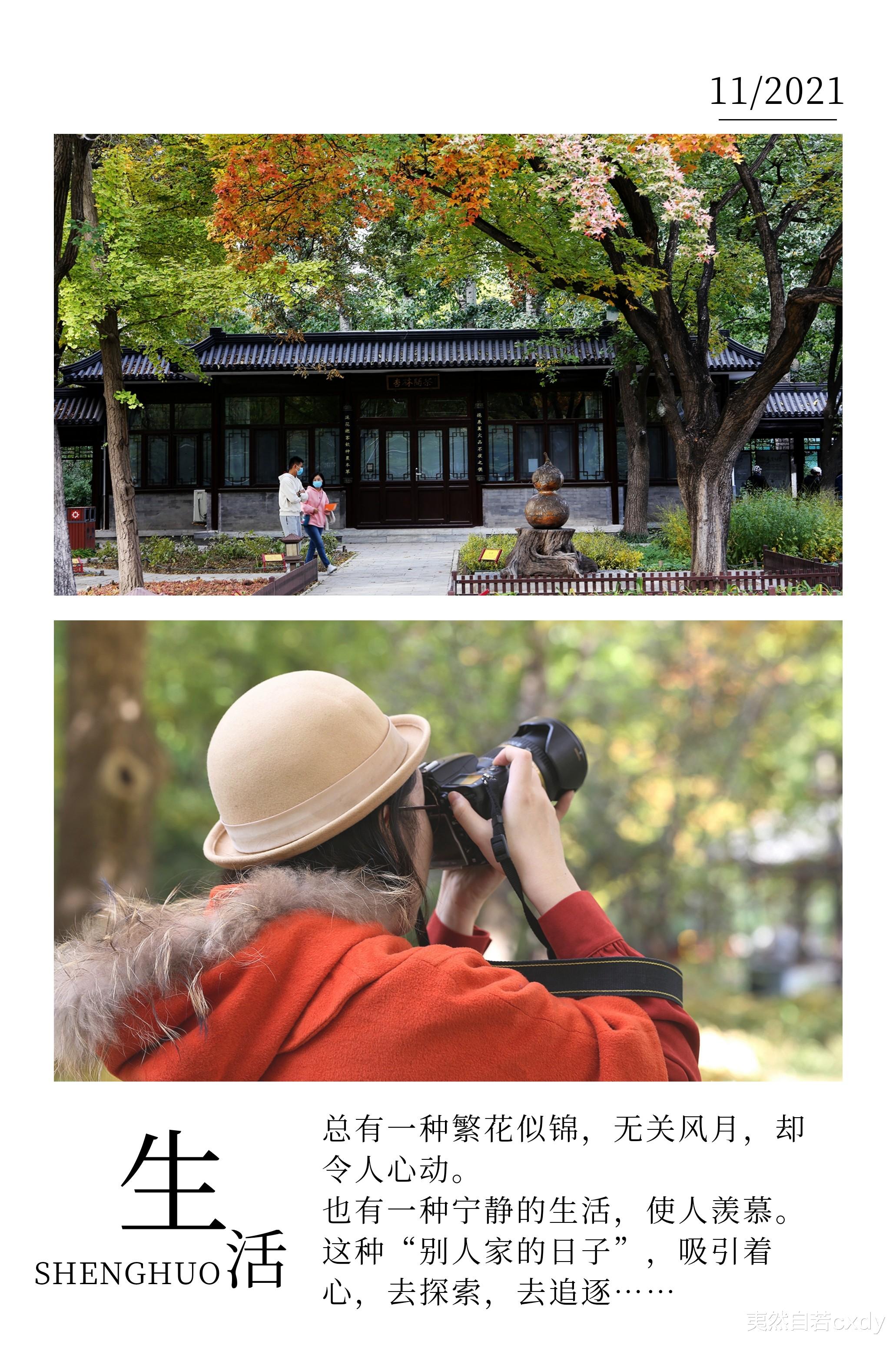 夷然自若cxdy 2021年的秋天，我只争朝夕