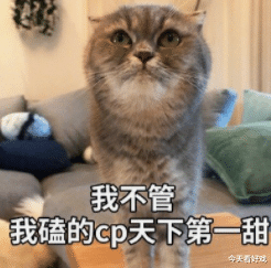 程潇|牛气满满的哥哥：你要相信，姜还是老的辣