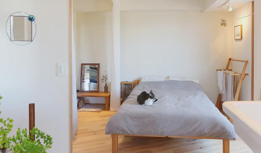 66㎡小家，布置得井井有条！两人一猫三餐四季的生活，是我喜欢的