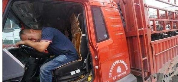 奶豆说育儿|卡友迎来好消息！交管：大力建设司机之家，改善卡车司机生活状态