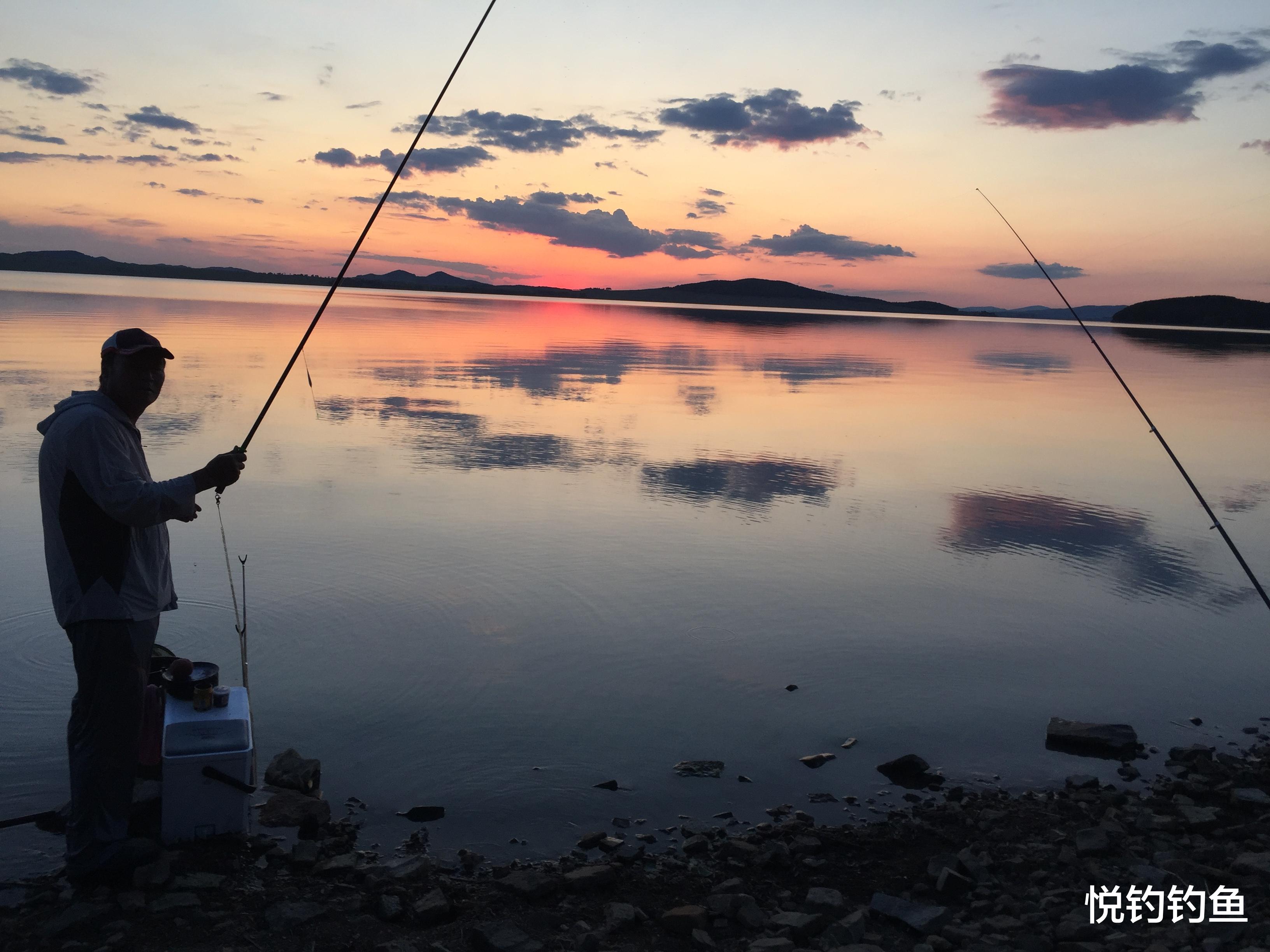 水库|真的是早上鱼口最好吗？其实鱼的开口时间与水质关系很大