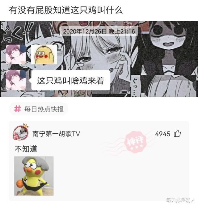 沙雕|神回复：原来这个甲壳虫是个喜剧演员，身家500万美金，还有老婆